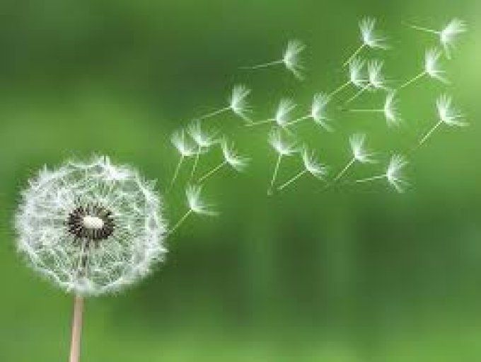  Libération émotionnelle